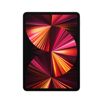 iPad Pro 11 APPLE MHW53LZ/A